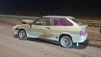 Семья из Ростова попала в ДТП с грузовиком на трассе в Воронежской области