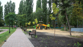 На улицах и в скверах Воронежа до конца осени высадят около 700 деревьев