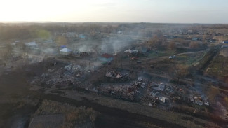 В семи районах Воронежской области установился чрезвычайный класс пожарной опасности