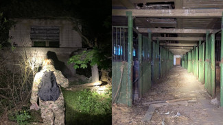 Волонтёры рассказали о ночных поисках пропавшего под Воронежем 11-летнего мальчика