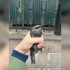Воронежские волонтёры спасли раненого скворца в Москве