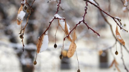 Дойдёт ли до Воронежа мощный снежный циклон из Москвы?