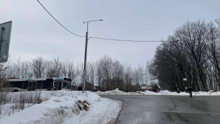 Воронежцы пожаловались на регулярные отмены автобусных рейсов до Орловки