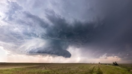 Прогноз погоды в Воронежской области на 8.05.2024