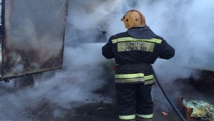 Шесть человек эвакуировали из полыхающего дома под Воронежем