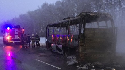 Пассажирский автобус «Тамбов – Воронеж» сгорел на трассе в соседнем регионе
