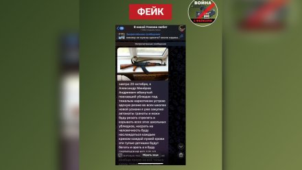 В Воронеже опровергли информацию о планируемом теракте в новоусманских школах