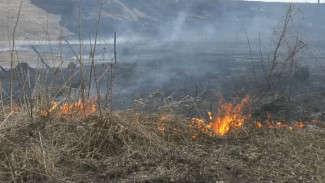 В пяти районах Воронежской области объявили высокий уровень пожарной опасности