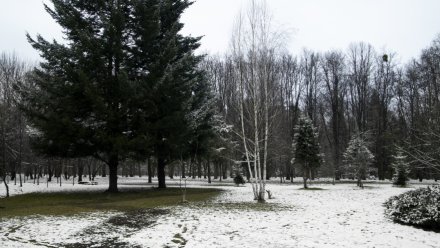 Воронежцам рассказали о погоде в первую неделю весны-2026