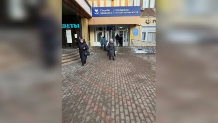 Главный общественник региона назвала самые безопасные участки в Воронеже в гололёд