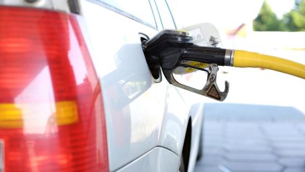 В Воронежской области вновь поднялась цена на бензин