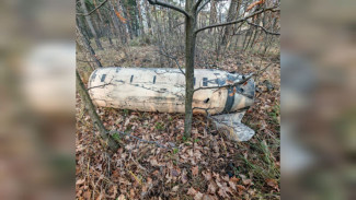 Режим ЧС ввели в Советском районе Воронежа после падения американских ракет