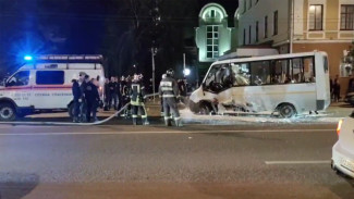«Автолайн» впервые высказался о пьяном ДТП с 3 пострадавшими в центре Воронежа