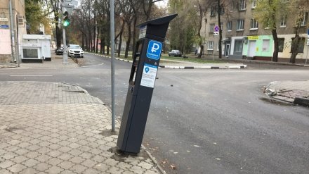 В Воронеже неизвестные попытались сломать паркомат