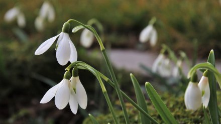 Прогноз погоды на 19.03.2020