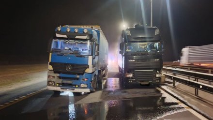 Массовая авария с фурами произошла на М-4 «Дон» в Воронежской области: есть раненый