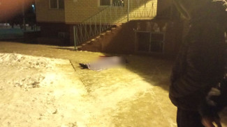 19-летний парень разбился при падении с балкона в общежитии ВГУ в Воронеже