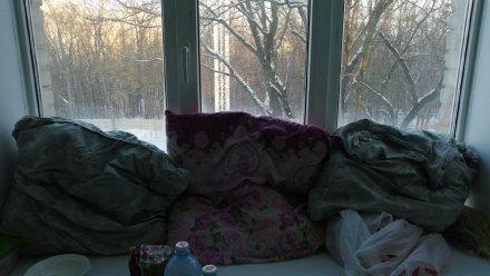 Ковид-пациентка из Воронежа пожаловалась на ужасные условия в больнице