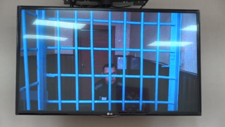 В Воронеже экс-ректор ВГТУ может выйти на свободу через полмесяца