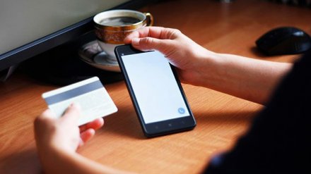 Жительница Воронежа решила продать дом через интернет и лишилась 505 тыс. рублей