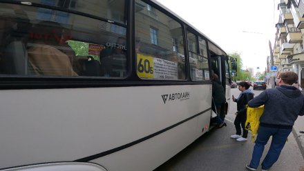 Автобус №60 отправят на ремонт после ЧП с упавшим деревом в Воронеже