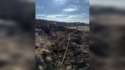 В заказнике «Воронежский» почвам нанесли ущерб на 11 миллионов