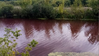 Чиновники заявили об отсутствии завода рядом с красным прудом в Воронежской области