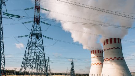 Нововоронежская АЭС перевыполнила план по выработке электроэнергии
