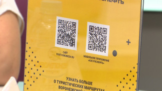 Воронежцам предложили четыре направления для автотуризма в регионе