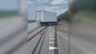 Под Воронежем КамАЗ сбил насмерть человека