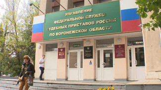 Более 680 млн взыскали с воронежских должников по алиментам за 5 месяцев