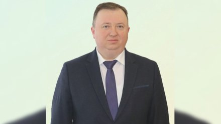 Глава Рамонского района объявил об уходе с должности