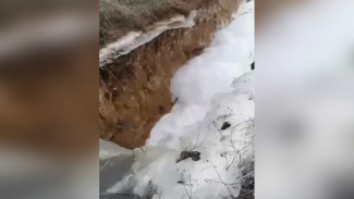 Река в Воронежской области покрылась белоснежной пеной