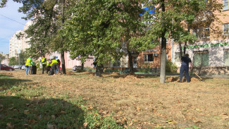 В Воронеже началась генеральная уборка
