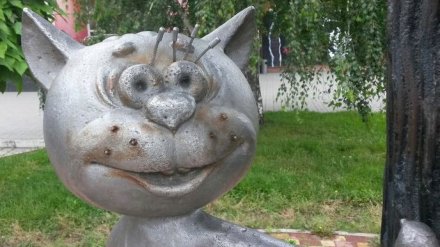 Воронежского Котёнка с улицы Лизюкова вновь лишили усов