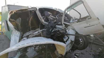 На трассе «Дон» в Воронежской области в лобовом столкновении машин чудом выжил водитель