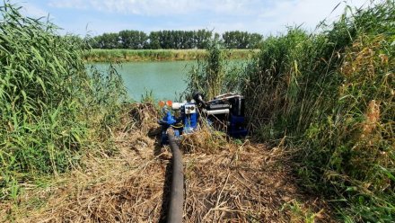 Воронежские власти пообещали помешать осушению захваченной фермером реки Красной