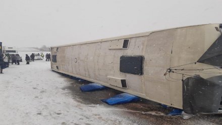 В ДТП с перевернувшимся автобусом на воронежской трассе пострадали 12 взрослых и 2 детей