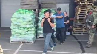 15 мигрантов-нелегалов обнаружили в Воронеже
