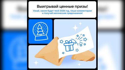 Воронежцам предложили принять участие в конкурсе «Новогодние предсказания»