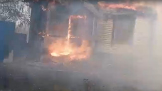 В Воронежской области сняли на видео горящую деревню 