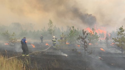 Высокий уровень пожарной опасности объявили в 8 районах Воронежской области