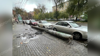 Столб возле остановки в центре Воронежа демонтировали после ночного ДТП