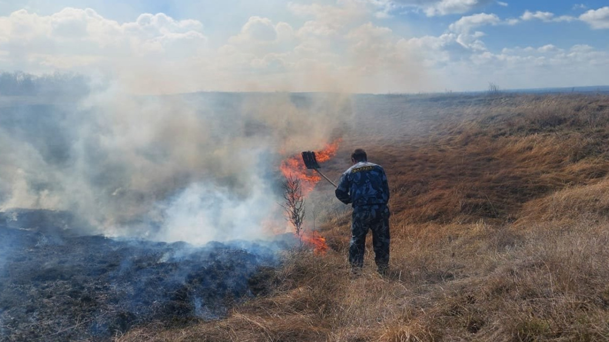Тебердинский нац парк. Тебердинский биосферный заповедник. Домбай зоопарк тебердинский. Вольерный комплекс теберда. Теберда тебердинский заповедник.