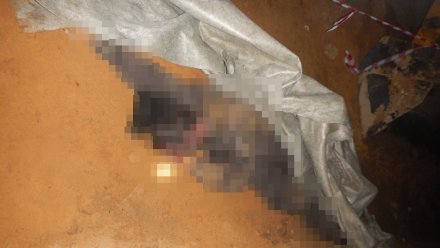 Машинист из Воронежа погиб под ковшом экскаватора в Нижегородской области