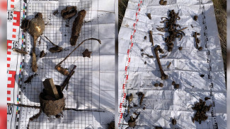 Волонтёры нашли останки красноармейца в рамонском селе