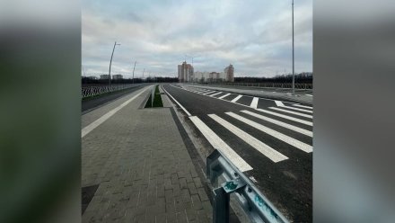 На воронежской магистрали Шишкова-Тимирязева нанесли разметку