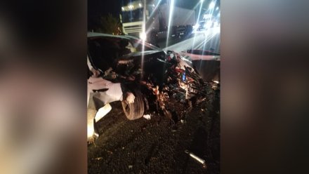В Воронеже 22-летний автомобилист разбился в столкновении с деревом
