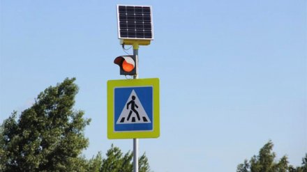 На улицах Воронежа для повышения безопасности установят 23 новых светофора