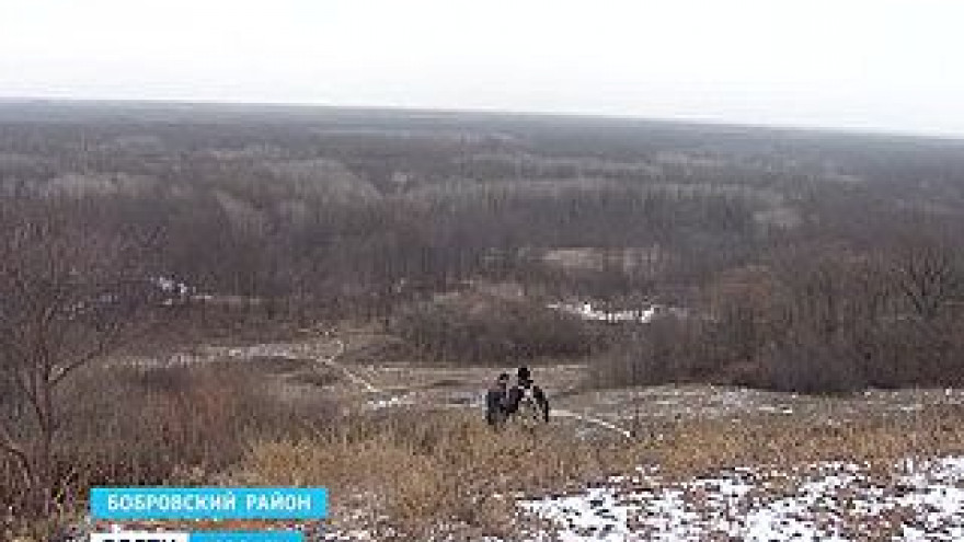 В Коршево появились защитники природы с дубинками и пистолетами